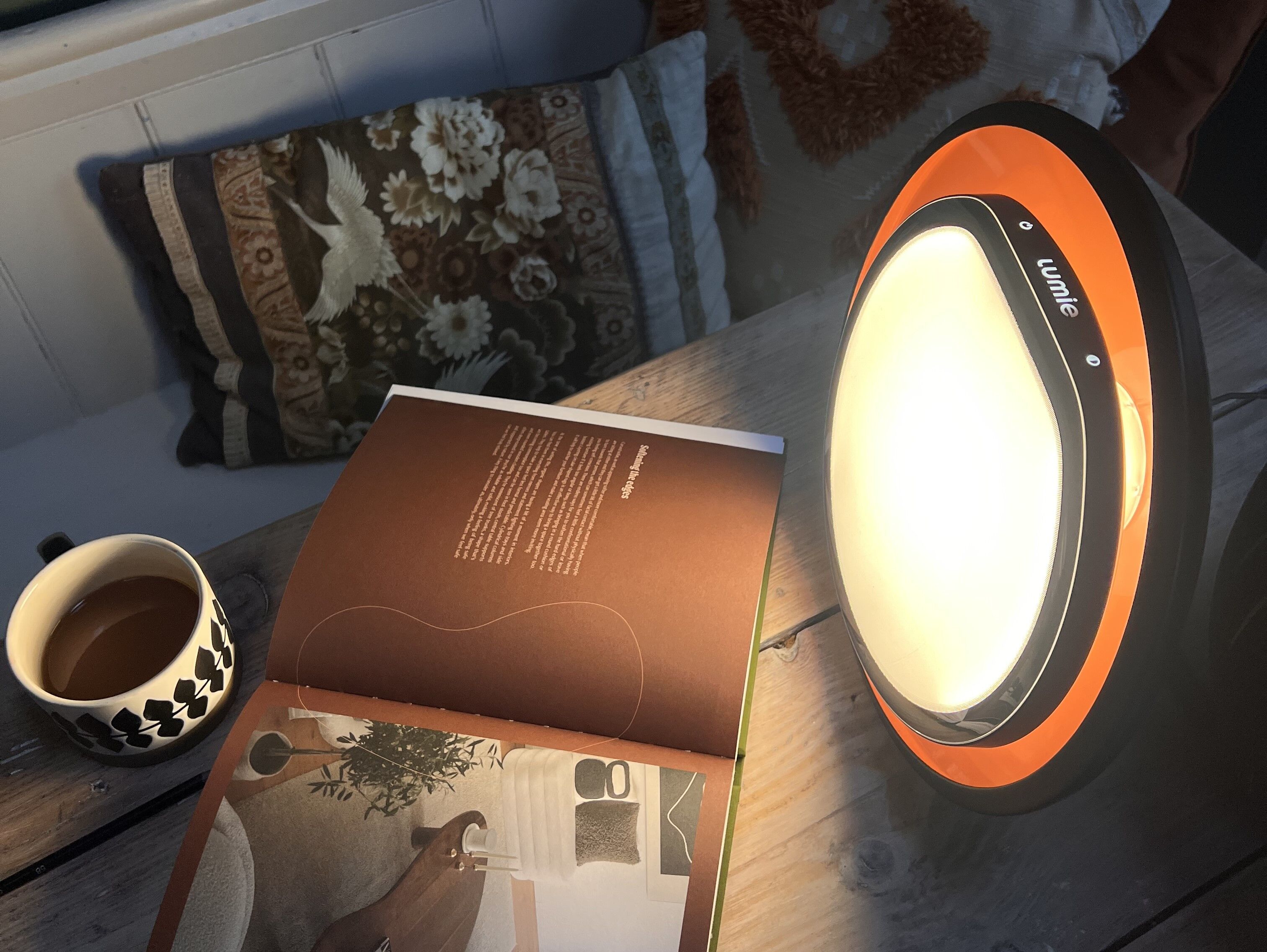 A Brighter Home with Light Therapy: In Conversation with Theresa Gromski